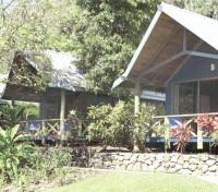 Palm Bungalow